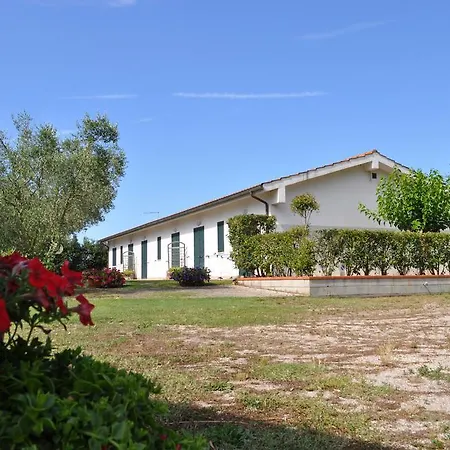 I Gelsi Farm stay *